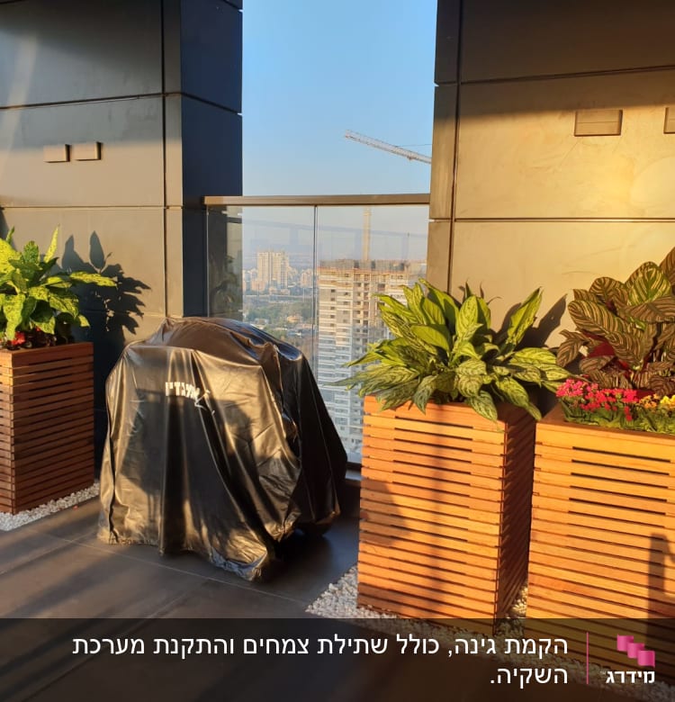 עציצים מעץ עם צמחים ירוקים ופרחים צבעוניים